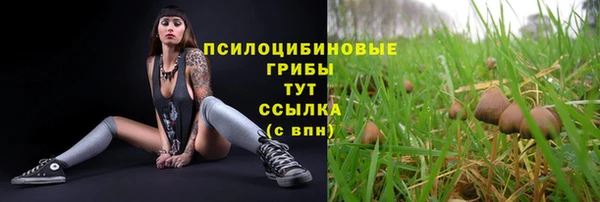 кокаин перу Пестово