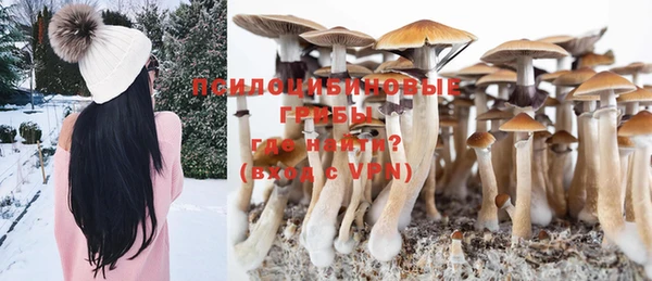 MESCALINE Пересвет